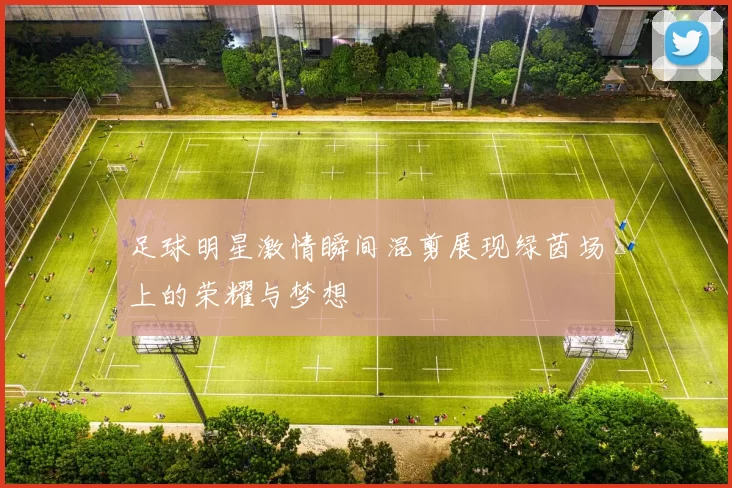 足球明星激情瞬间混剪展现绿茵场上的荣耀与梦想